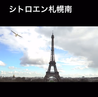 シトロエン純正オプション