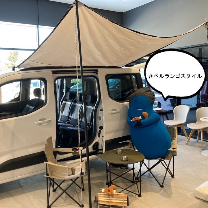 今週のショールームのご紹介！