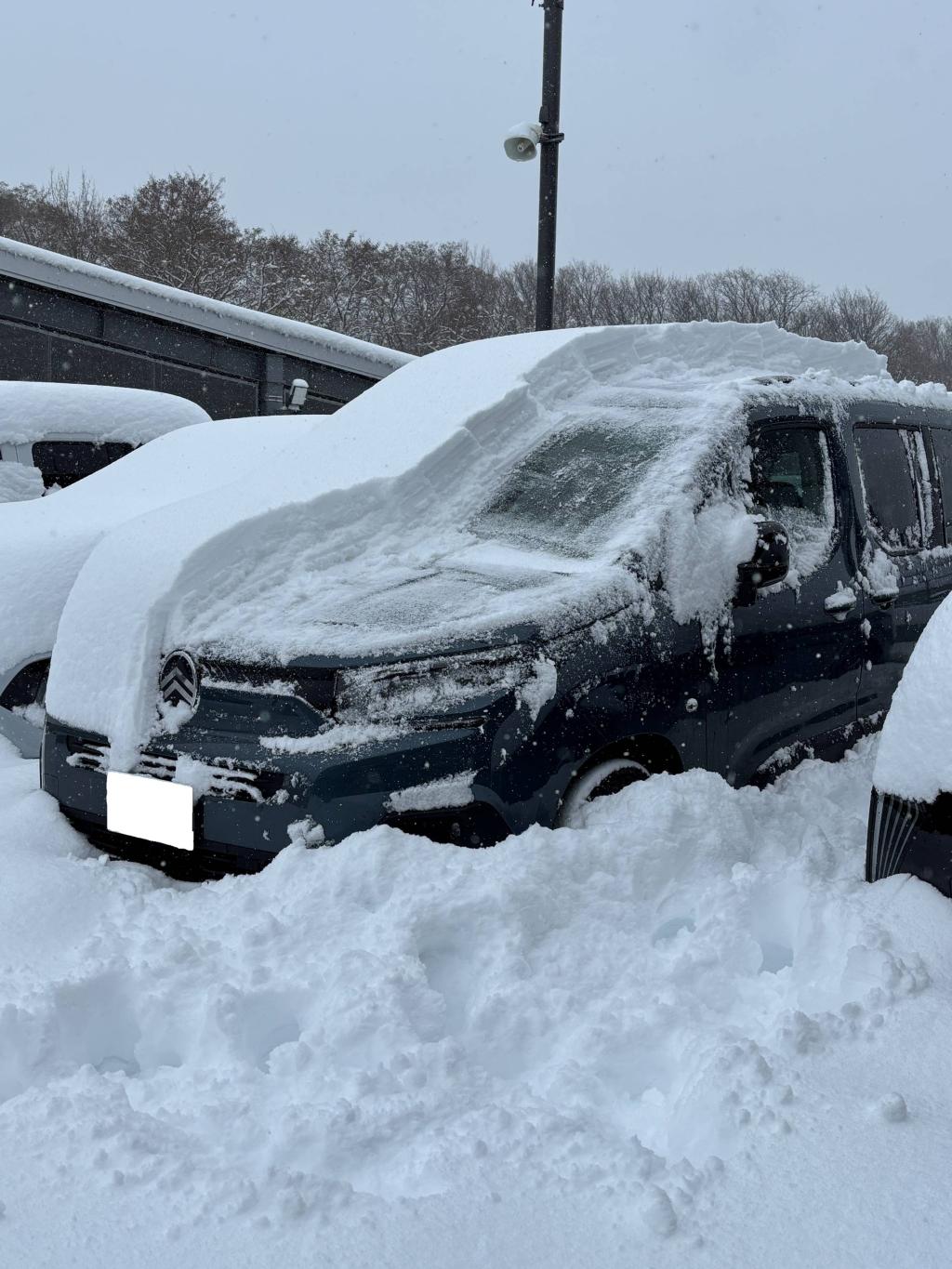 ついにドカ雪！けどこんな時こそ試乗！！