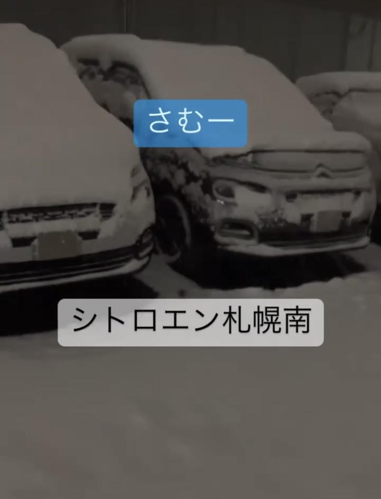 雪雪雪～！！！