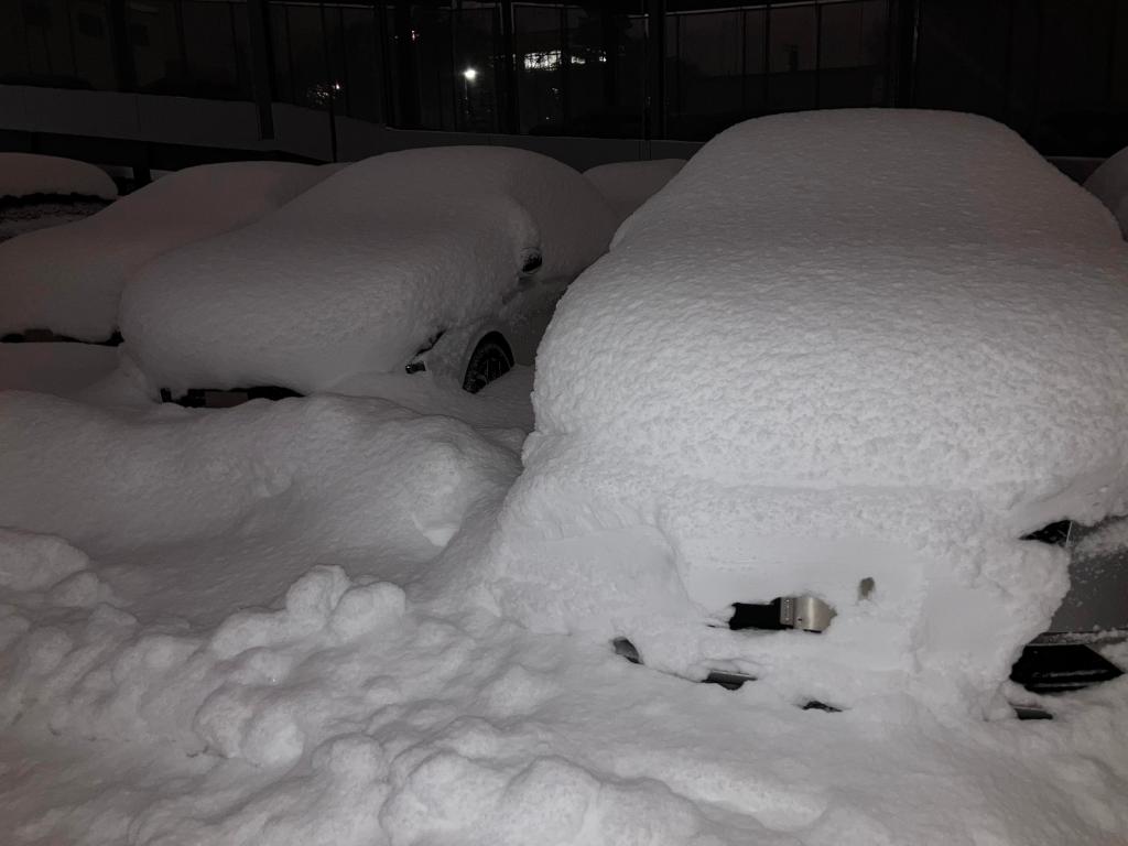 連日の雪☃️