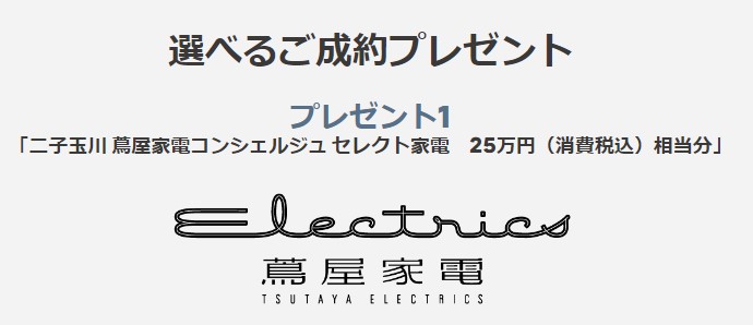 CITROËN GO! EV LIFE キャンペーン